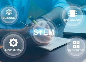 重慶引序科技 專業(yè)網站建設與網絡技術服務領航者